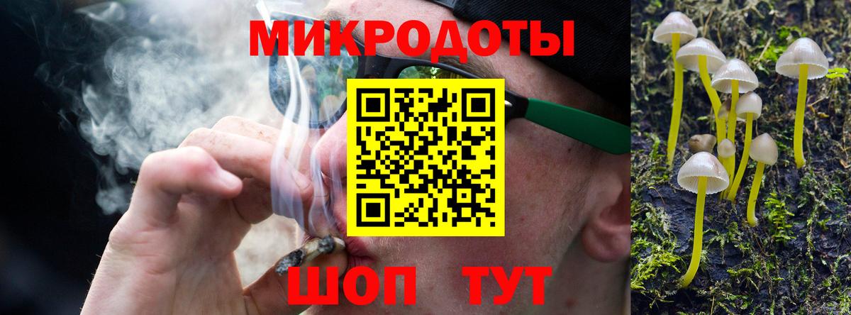 Домодедово  Галлюциногенные грибы Cubensis  Вход с VPN 